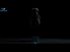 CCS2 al adaptador CHAdeMO